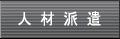 �l�ޔh��