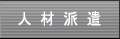 �l�ޔh��